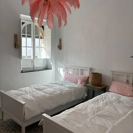 Cathedral And Mateos Gagos Seville