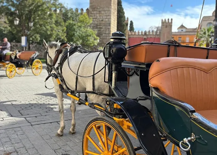 Apartament Cathedral And Mateos Gagos