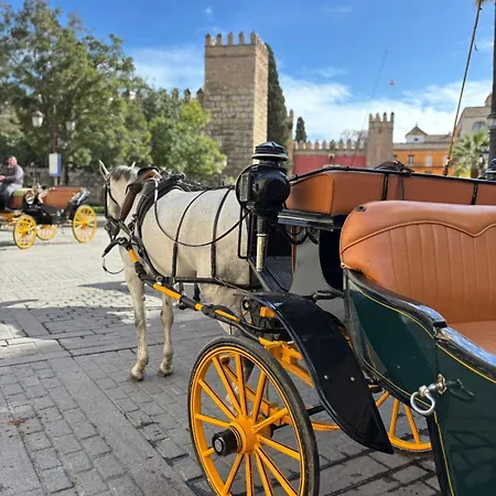 Apartment Cathedral And Mateos Gagos